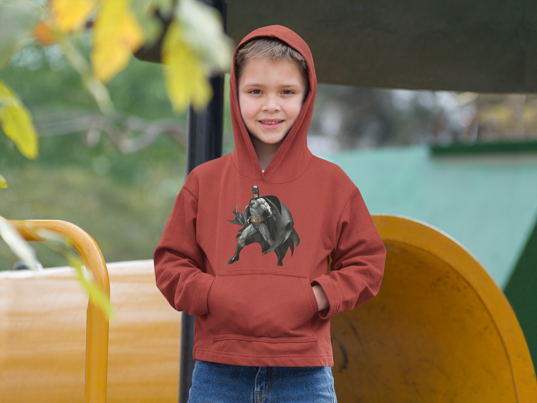 Superhero Boy Hoodies-KidsFashionVilla